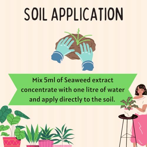 Image of PLANT'S BUDDY Seaweed Miracle - 100% Organic Seaweed Liquid Fertilizer for plant | Boosts Growth, Flowering, Fruit Quality & Soil Health | For All Plants - Foliar & Soil Application - 250ml