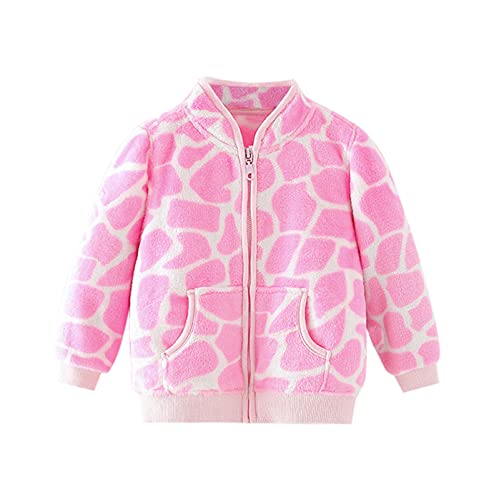 Boys Fall Jacket Toddler Baby Kids Boys Girls Winter Windproof Cartoon Coat Jacket Warm Fleece (Pink, 2-3 Years)