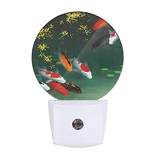 Image of Fancy Carps in Pond Night Lights Plug into Wall Golden Red Fishes Night Light Dusk to Dawn Sensor LED Lighting for Bedroom Bathroom Living Room, 0.5W Sleep Friendly
