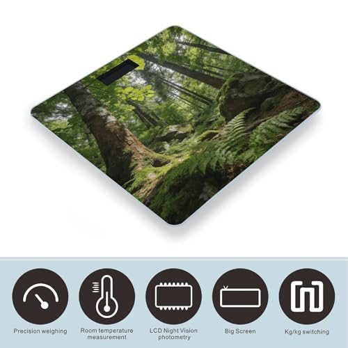 Báscula digital Forest para peso corporal con pantalla LCD grande miniatura 3