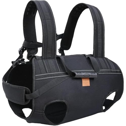 ^pybgobOiL[j bN^ EԌp XO & ԕRt яoh~E AEghAEsEoœK (XXXL)