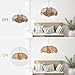 Hanging Lights with Plug in Cord, 3-Light 14.3FT Stepless Brightness Flower Shaped Hanging Lamp with On/Off/Dimmable Switch, Boho Handwoven Chandelier Rattan Pendant Light for Bedroom Nursery (Brown）