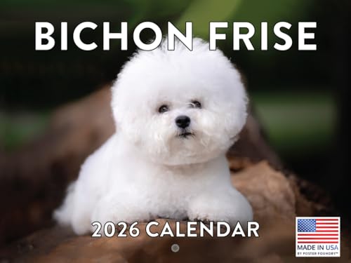 Bichon Frise Calendar 2026 Wall 12 Month Monthly Bichon Frises Gifts For Bichon Frise Lovers Women Men Mom Dad | American Made In The USA