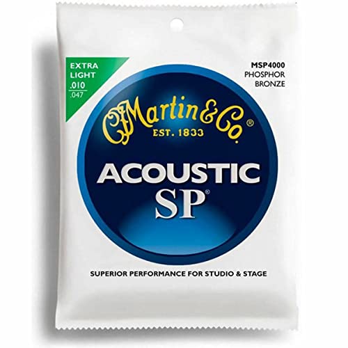 Martin Acoustic Guitar Case (MSP4000)