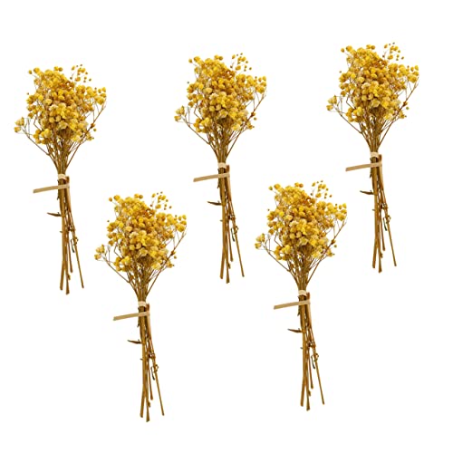 5pcs ramo de flores secas Gypsophila para decoración miniatura 1