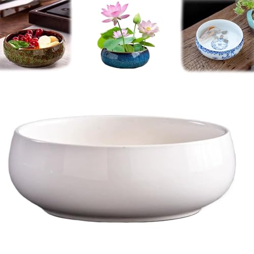 Pot Hydroponique,Pot De Fleur Ceramique,Plantes D'IntéRieur,Fleurs Vasque RéCipient Hydroponique Non Poreux De Grand Calibreavec GlaçUre Fluide, Applicable...
