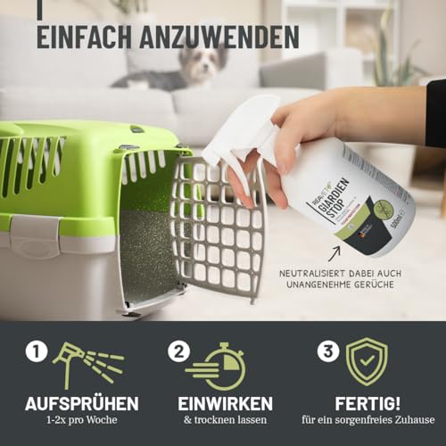 ReaVET Giardien-Spray 500 ml – Hygiene-Spray für Hund & Katze I wissenschaftlich Belegter Wirkstoff I Umgebungsspray zur Desinfektion gegen Giardien, Viren, Bakterien & Pilze