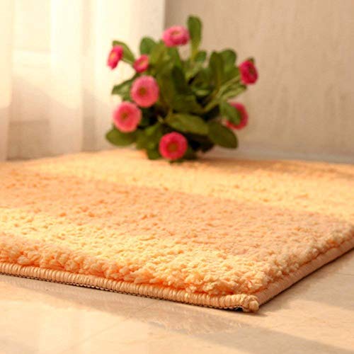 Lisay LisayMats-Haushalt Waterbsorbing Pad Tür Schlafzimmer Tür die Tür/Nonlip Tür Matte vor Toilette Badezimmer Bett/Fuß Pad,C,50X80Cm (20X31Inch)