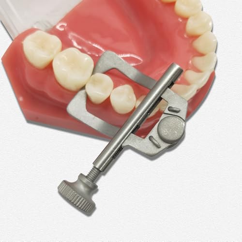 Image of Dental Teeth Separator Tooth Dividor Wedge Retainer Anterior Teeth Posterior Tool Teeth Whitening Oral Care (1 Piece Anterior)