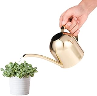 Saicowordist 17.6OZ / 500ML Gold Indoor Watering Can Small, Ornate Stainless Steel Metal Long Spout Bonsai Mini Watering Can, Watering Pot for Indoor&Outdoor Plant(Gold)