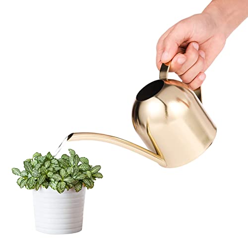 Saicowordist 17.6OZ / 500ML Gold Indoor Watering Can Small, Ornate Stainless Steel Metal Long Spout Bonsai Mini Watering Can, Watering Pot for Indoor&Outdoor Plant(Gold)