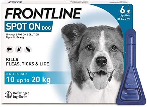 FRONTLINE Spot On Flea & Tick Treatment for Medium Dogs (10-20kg) - 1 Pipettes, Flea And Tick Treatment For Dogs