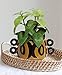 Bloomingville Hand Painted Stoneware Planter with Handles, Brown and Black