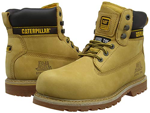 Caterpillar CATHOLTH9