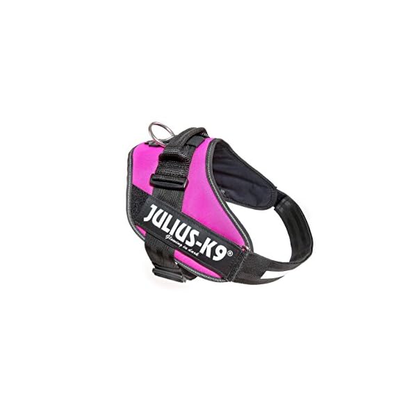 Julius-K9 IDC Powerharness for Dogs with Two Free Custom Patches, Dark Pink Size 2, XL/Size 2 (chest: 28-37.5 inches ) Julius-K9 IDC Powerharness for Dogs with Two Free Custom Patches, Dark Pink Size 2, XL/Size 2 (chest: 28-37.5 inches )