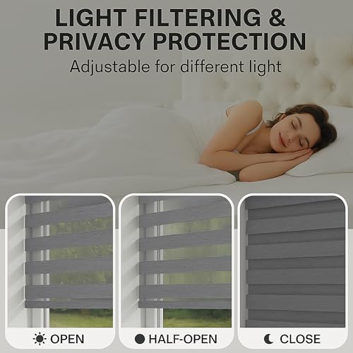 image for Shadesu Cordless Zebra Blinds for Windows, 46