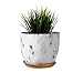 Marble Plant Pot, 6 inch Modern Nordic Style Ceramic Marble Look Scrub Pots for Plants-Plant Pots Indoor with Drainage Hole and Ceramic Tray for Succulents/Plants/Flowers