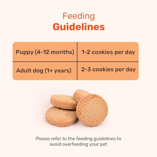 Image of Yummy in My Tummy by HUFT Chai Time Coconut Dog Biscuits - 200 gm | Gluten-Free Vegetarian Crunchy Treats for Puppies & Adult Dogs | Healthy Snack | Suitable for All Breeds Dogs
