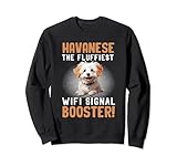 Idee di design per cani Havanese