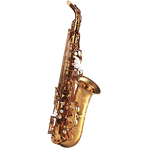 Rollins Saxophone alto RSA-9901,E flat Selmer 802-Key,Matière laiton, Or