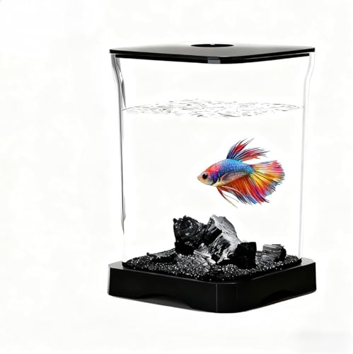 xb^^N ȐZbg LED Ɩt fXNgbv Mы/Gr/Obs[/WF[tBbVp ȒP ݒu eiXe ҂ɍœK (ubN)