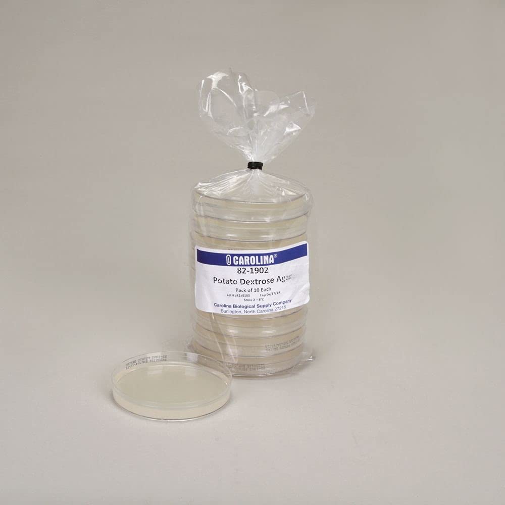 Potato Dextrose Agar, Prepared Media Plates, 100 x 15 mm, Pack of 10