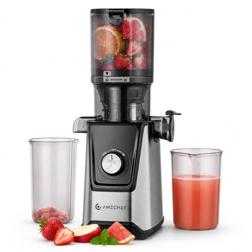 AMZCHEF Extracteur de Jus à Froid, Slow Juicer avec...