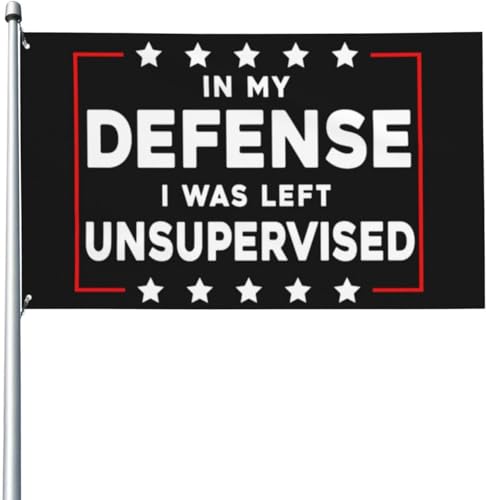 Banderas de 3x5 pies en mi defensa, me dejaron sin supervisión, regalos, bandera divertida para casa, con 2 ojales