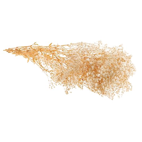 Ramo de flores secas Babysbreath para decoración