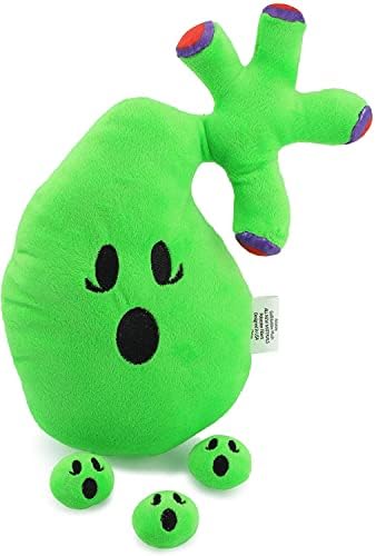 organ plush toys