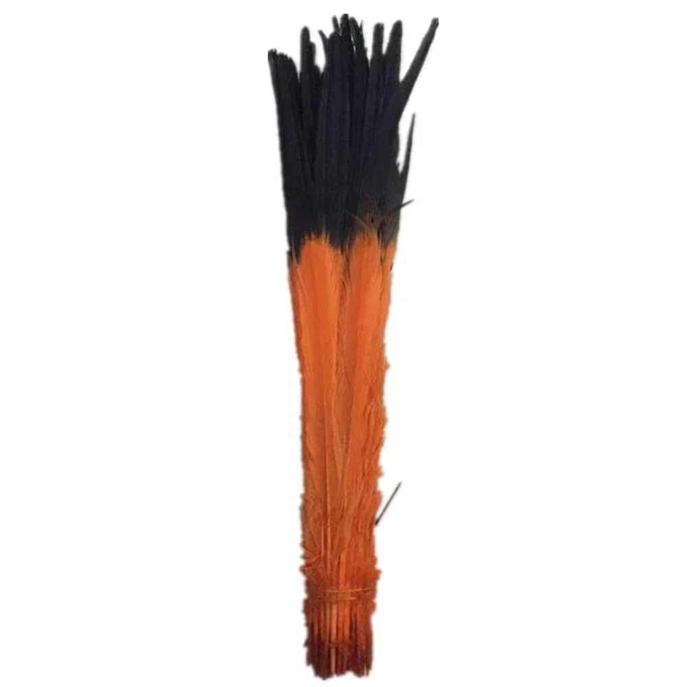 Natural Pheasant Feathers, Natural Ringneck Pheasant Craft Feathers, Multicolor, 100 Pcs, 40-45 cm