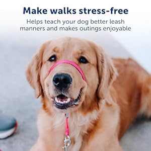 PetSafe Gentle Leader No-Pull Dog Headcollar – The Ultimate Solution to Pulling – Redirects Your Dog’s Pulling For Easier Walks – Helps You Regain Control – Medium , Deep Purple
