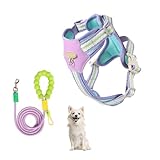 YPDOPORA Arnés Tipo Chaleco para Perros Pequeños, Antitirones, con Dos Clips para Correa, Reflectante Y Ajustable, Fácil De Pasear,Púrpura,L