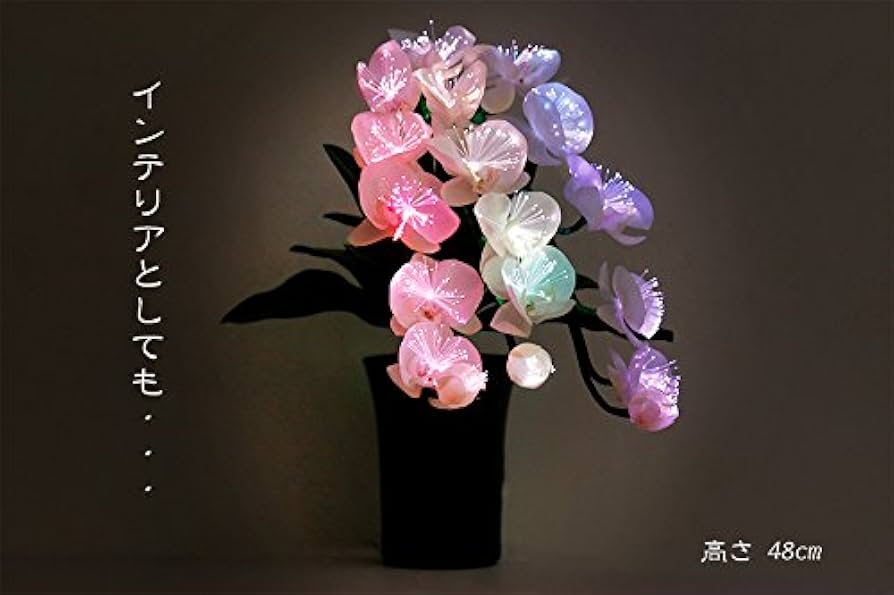 41heVSXWp5L._AC_UF894, 41heVSXWp5L._AC_UF894,