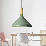 moderno metallo lamapada a sospensione legna e27 plafoniera lampada retro led lustro lampadario luce a soffitto per camera da letto ristorante sala da pranzo soggiorno hotel, verde