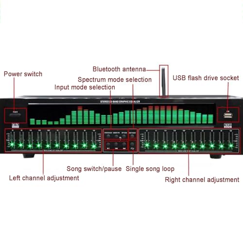 Equalizzatore grafico stereo audio digitale, equalizzatore professionale a 31 bande con riduzione del rumore, 12 modelli di ritmo, doppia sintonizzazione indipendente a 10 segmenti