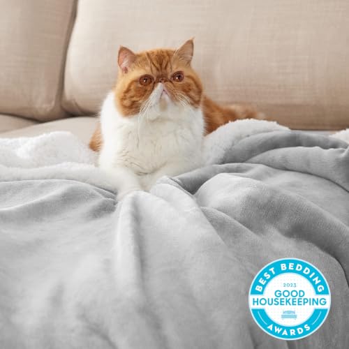 Image of Bedsure GentleSoft Sherpa Fleece Blanket Queen Size for Bed, Non-Heated, Thick and Warm Throw for Women and Men, Soft Fuzzy Plush Queen Blanket for Winter, Light Grey, 90x90 Inches