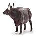 Gemini&Genius Gaur Cow Toy for Kids, Bull Farm Animal Toys, Realistic and Durable Cattle Farm Toy for Kids Boys and Girls Gift, Cake Topper and Collection