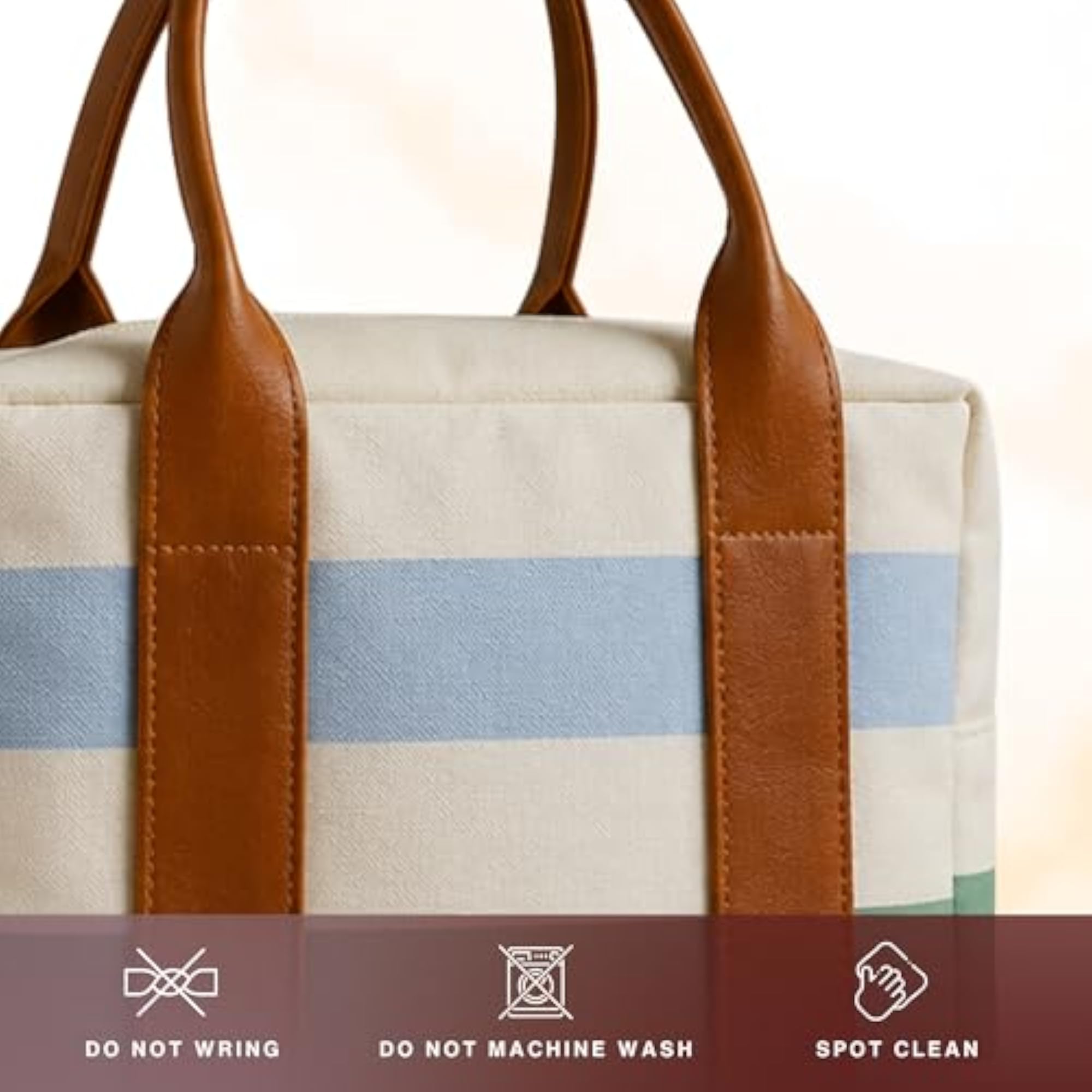 Insulated Lunch Bag for Office, College, School