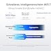 ASUS RT-BE58U - Erweiterbarer WLAN-Router 7 AiMesh, 4K-QAM, MLO, WAN/LAN 2,5G mit KI-Erkennung, Vier 1G-Ports, kommerzielle Netzwerksicherheit, Kindersicherung, Kindernetzwerk, VPN