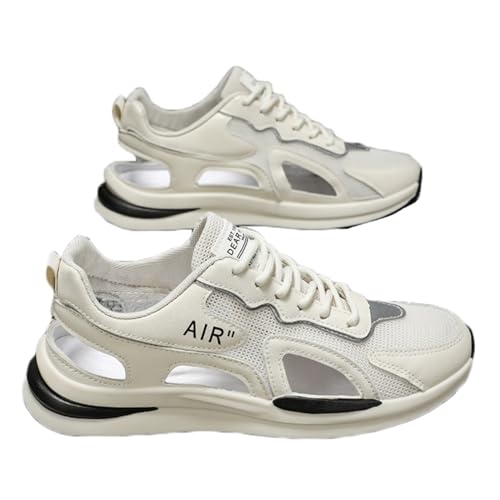 [Taopagii] T_ X|[c gh ܐی Ƃ  X|[c O 24.5 cm