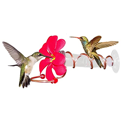 Résistant à La Rouille Extérieure Métal Mangeoire à Oiseaux,Décor De Jardin,Mangeoire Oiseaux Exterieur,Mont De Fenêtre Mangeoire De Colibri avec Strong Suction Cup-Transparent 15x6cm(6x2inch) Cover