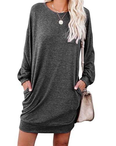 PrinStory Women's Casual Sweater Dresses Fall Winter Crewneck Loose Fit Basic Pullover Tunic Dress...