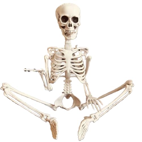 �uNexPon�v�n���E�B�� �[������ 40/70/90/170cm ���g�� �[�l���l�̍��i �|�� ���w�n�E�X ���W�� ���������~ �� ���| �z���[ �f�R���[�V���� �p�[�e�B�[ �z���[ �z���[���� ���͋C���_ ���������� �z�[���X�g�A �p�[�e�B�[ �̎��� 