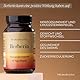 Primabiotic BERBERIN 400MG - 60 VEGAN-Kapseln | Berberis Vulgaris-Extrakt | Natürliche Unterstützung des Stoffwechsels und Lebergesundheit | Maximale Absorption | Leber Verdauung, Darmfunktion