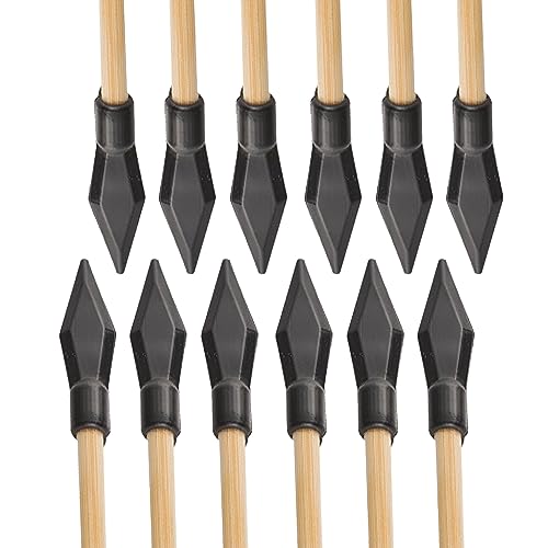 12 Carbon Pfeile Spine 500-1000 Violett/weiß | 4.2mm ID Für Bogenschießen & Jagd - Mit Federn