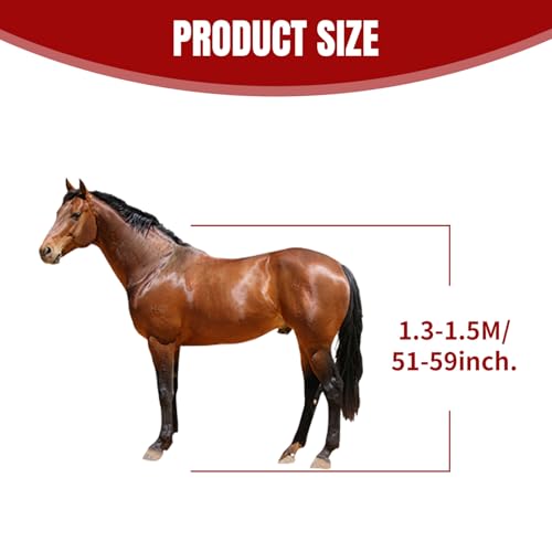 Licol pour cheval réglable et licou en corde léger avec sangle PP 25 mm