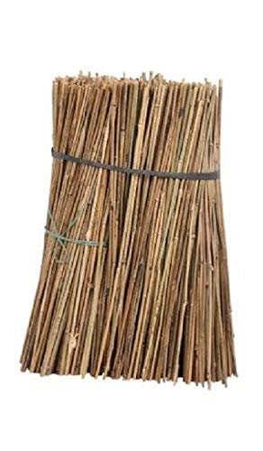 HaziQ 4ft (8-12mm Thick) Bamboo Plant Support Bamboo Canes/stakes/pole Plant support (Pack of 20)
