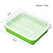 DTnature Seed Sprouter Wheatgrass Sprouting Tray BPA Free PP Sprouting Kit Big Capacity with Lid 13.4 x 9.84 x 4.2inch,Indoor Sprouter,Green