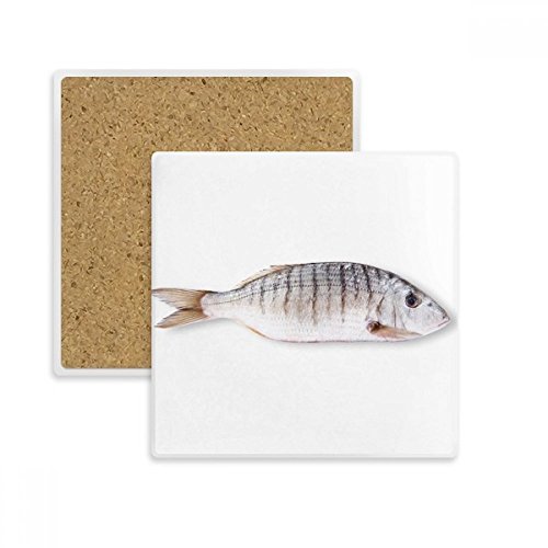 Dessous de verre absorbant poisson océan imprimé coloré